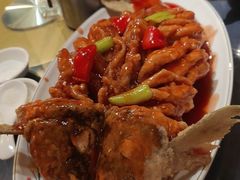 -金龙寨(龙城路店)