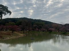 -无锡梅园公园