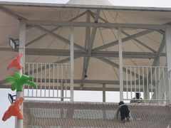 -长洲岛都市农业公园