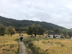 -塔川景区