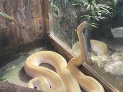 -上海大自然野生昆虫馆(东方明珠·爬宠昆虫探索中心)