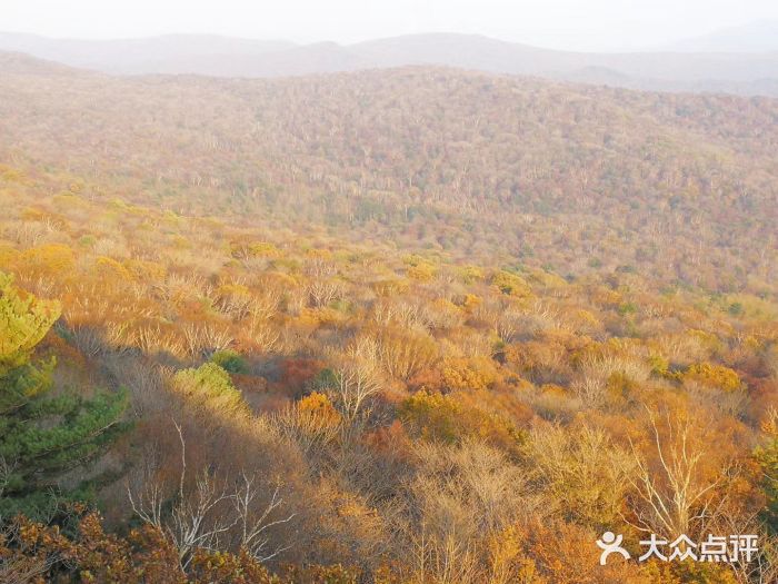 吊水壶国家森林公园图片