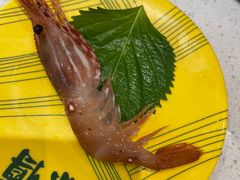 -京樽回転寿司(奥林匹克店)