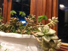 -四姑娘山阿巴郎·藏式花园餐厅