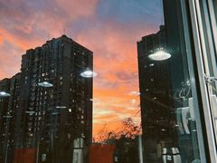 -极斗-IKMF马伽术·格斗运动学院(东直门店)