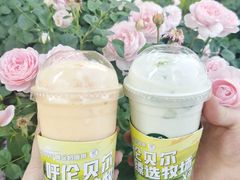 -茉酸奶(春熙路店)