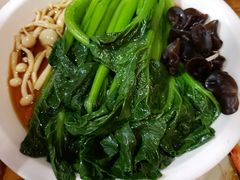 -新白鹿餐厅(百联中环店)