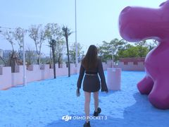 -九龙湖公园