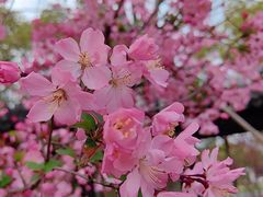 -金典银峰老鹅馆·昆山菜(亭林公园店)