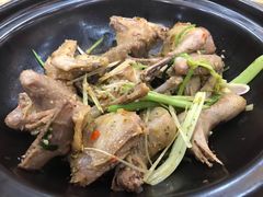 香茅乳鸽-寻味顺德·南记酒家·传统顺德菜·鱼生(广源路店)