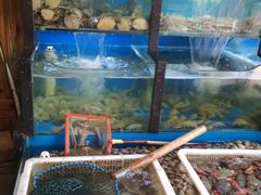 水产区-老东镇啤酒屋海鲜加工·蒸汽海鲜·海鲜烧烤(台东店)