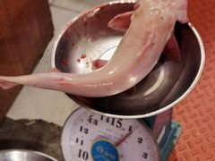 -金海椒罐罐鲢鱼(东方桂苑店)