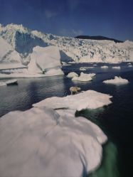 -翱翔飞越地平线