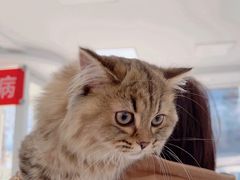 -北京观赏动物医院·24小时大型综合·猫专科·异宠专科