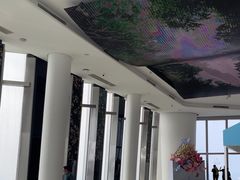 -Free Sky 云际观光层