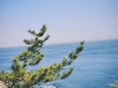 -棒棰岛宾馆景区
