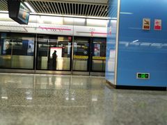 -大龙山(地铁站)