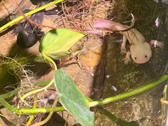 -正佳雨林生态植物园