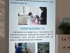 -北京观赏动物医院·24小时大型综合·猫专科·异宠专科