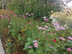 -长春公园(普阳街道)