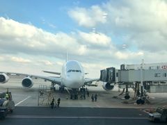 -郑州新郑国际机场T2航站楼-贵宾厅B区