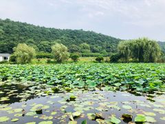 -龙寺生态园