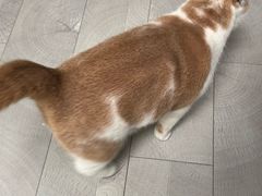 -酷狗靓猫宠物·洗护·美容·寄养(航北路店)