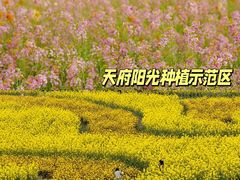 -白鹭湾湿地公园