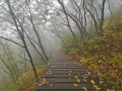 -白草畔自然风景区