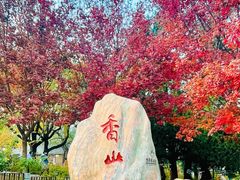 -香山公园