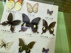 -蝴蝶泉公园