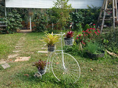 android_upload_pic-清迈丛林飞跃 JungleFlight