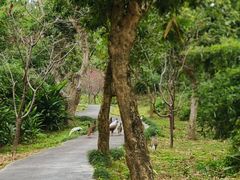 -福建鲤鱼洲酒店