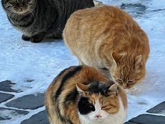 -云峰山自然风景区