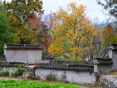 -塔川景区