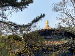 -潭柘寺景区