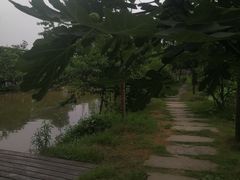 -洪湖家庭农场·团建·露营·会议