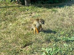 -大连森林动物园