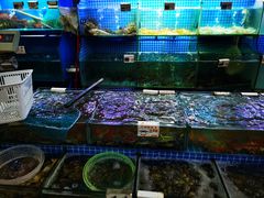 水产区-叶姐海鲜(棋子湾店)