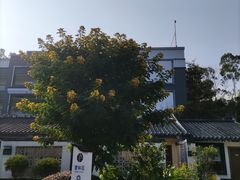 -林丰温泉度假山庄