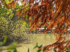 -上海海湾国家森林公园