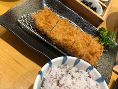 -胜博殿日式炸猪排(西红门店)