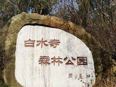 -白水寺森林公园