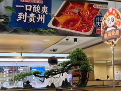 -海底捞火锅(江宸天街店)