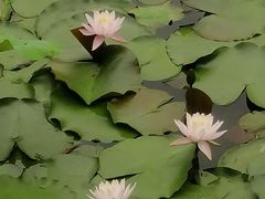 -南通博物苑-崇川人民公园