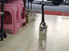 -玉椰林甜品店(创始店)