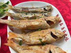 -蛇口康乐快餐鱼仔档(翠苑小区店)