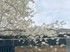 -保利石象湖景区