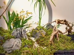 -荷兰布尔玛国际花艺学院