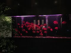 -大唐盲人按摩中心(黄山路店)